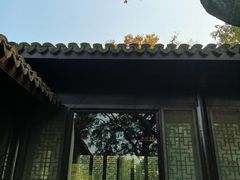 -高子水居