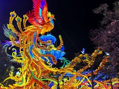 -厦门园林博览苑