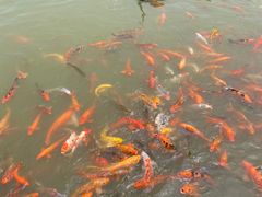 -春晖园度假酒店温泉