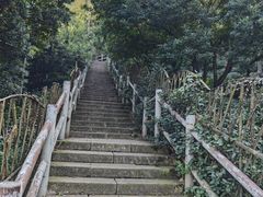 -树山生态村