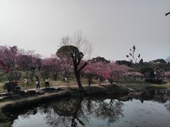 -无锡梅园公园
