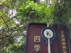 -天鹿湖森林公园