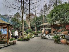 -青城甲(青城山店)