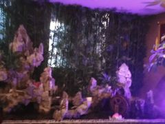 -康美道家中医养生SPA馆(牡丹江路店)