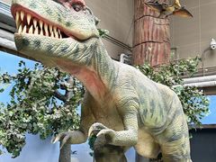 -国家自然博物馆