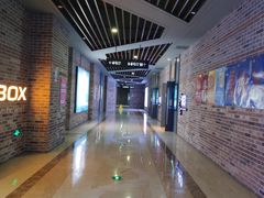 -SFC上影影城(北京大兴龙湖天街IMAX店)