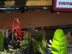 -德得轩烤涮一体自助餐厅(王府井店)