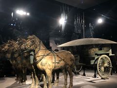 -秦始皇帝陵博物院-丽山园