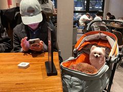 -漆黑觉米粉(三里屯店)