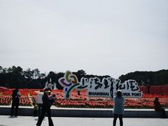 -上海鲜花港