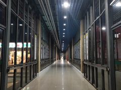 -上海市第六人民医院(临港院区)