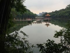 -广州市干部健康管理中心