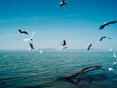 -捞渔河湿地公园