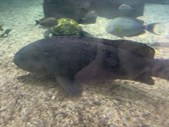 -鸿通城购物中心