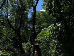 -九龙公园