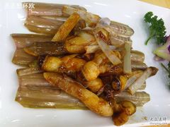 蛏子-海岛渔村大酒店(云霄路店)
