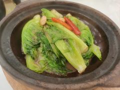 台山虾酱啫生菜胆-海宝酒家(中山四路店)