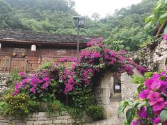 -高荡千年布依古寨旅游景区