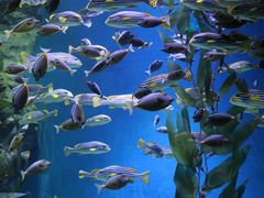 -成都浩海立方海洋公园