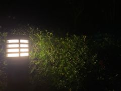-英德宝晶宫天鹅湖茶语温泉