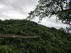 -亚龙湾热带天堂森林公园