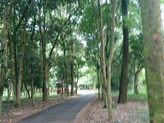 -南宁良凤江国家森林公园