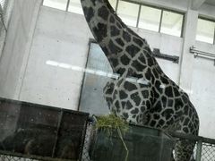 -石家庄市动物园