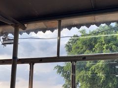 -八仔大富楼·河鲜(西江店)