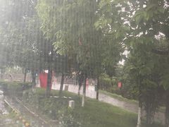 -武侯墓风景区