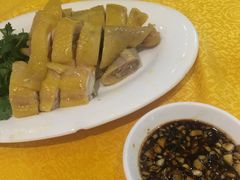 -黄B湛江鸡饭店(粤垦路店)