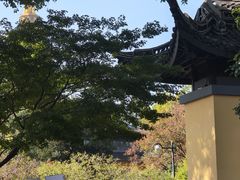 -红梅公园