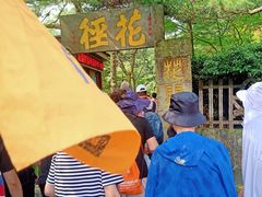 -庐山风景区花径公园