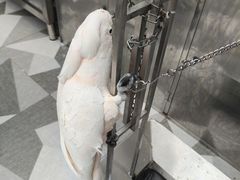 -四海楼(如皋定慧禅寺店)