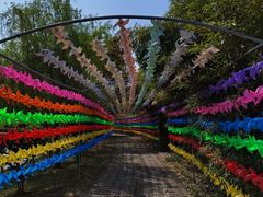 -上膳源有机农场