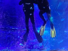 -沈阳海洋探索中心