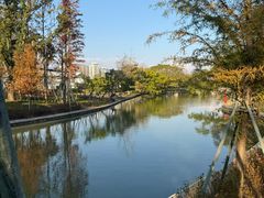 -江心屿景区