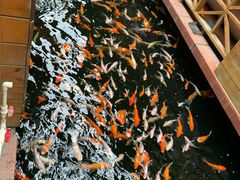 -侠成水上农庄(工业大道店)