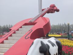 -荷兰花海