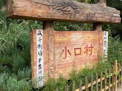 -雾灵西峰