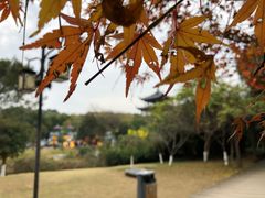 -白马涧龙池景区