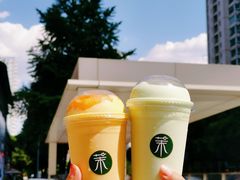 -茉酸奶(春熙路店)