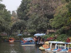 -晓港公园