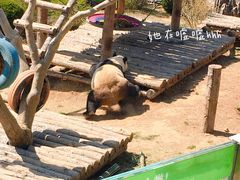 -大连森林动物园