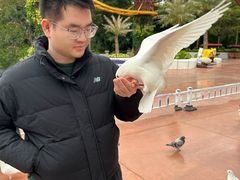 -南宁方特东盟神画