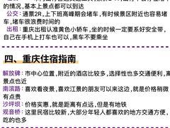-仪表厂火锅(总店)
