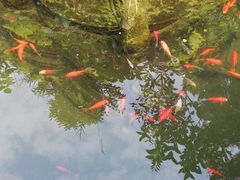 -宝光寺