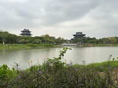 -海珠湖公园