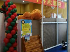 -兜莱·亲亲袋鼠国际早教