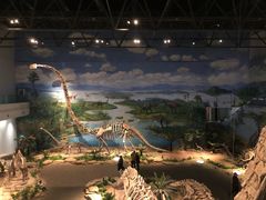 -自贡恐龙博物馆