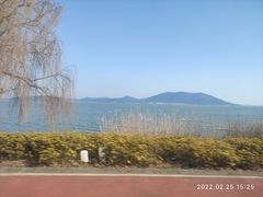 -西京湾花海
